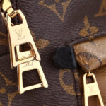 Louis Vuitton Palm Springs Pm M44870 Brown